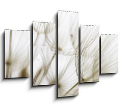 Obraz 5D ptidln - 150 x 100 cm F_GB180759298 - Dandelion seed closeup