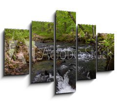 Obraz 5D ptidln - 150 x 100 cm F_GB182860867 - Whitewater Stream