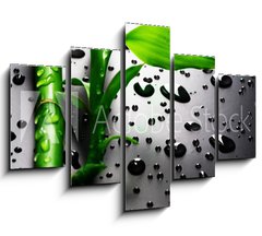 Obraz 5D ptidln - 150 x 100 cm F_GB18901252 - Bamboo