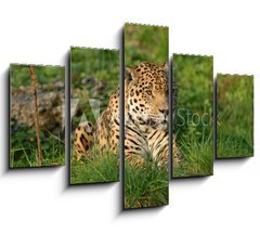 Obraz ptidln 5D - 150 x 100 cm F_GB19063802 - Leopard