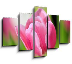 Obraz   tulip, 150 x 100 cm