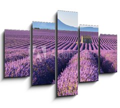 Obraz 5D ptidln - 150 x 100 cm F_GB195185269 - Lavender fields in Plateau de Valensole with a stone house in Summer. Alpes de Haute Provence, PACA Region, France