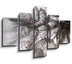 Obraz   TARAXACUM. DIENTE DE LEN, 150 x 100 cm