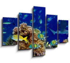 Obraz 5D ptidln - 150 x 100 cm F_GB196736176 - colorful wide underwater coral reef panorama banner background with many fishes turtle and marine life / Unterwasser Korallenriff breit Hintergrund