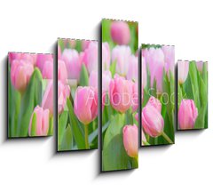 Obraz 5D ptidln - 150 x 100 cm F_GB197459924 - Tulip Flower in the Garden.,Nature background. - Tulipn v zahrad., Prodn pozad.