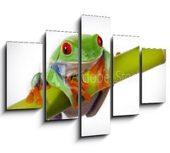 Obraz 5D ptidln - 150 x 100 cm F_GB19746913 - Bamboo Frog - Bambusov ba