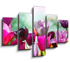 Obraz ptidln 5D - 150 x 100 cm F_GB20169360 - Beautiful spring flowers, tulips