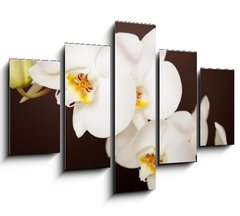 Obraz ptidln 5D - 150 x 100 cm F_GB20241888 - Beautiful orchid on brown background
