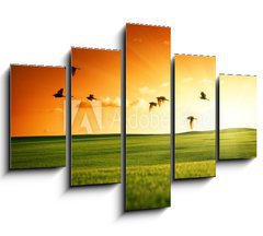 Obraz ptidln 5D - 150 x 100 cm F_GB20504008 - field of grass and flying birds