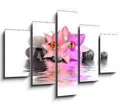 Obraz   Orchidee et Beaute, 150 x 100 cm