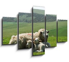 Obraz ptidln 5D - 150 x 100 cm F_GB21163445 - Ewe and lambs