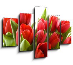 Obraz 5D ptidln - 150 x 100 cm F_GB21477013 - Tulips from Holland