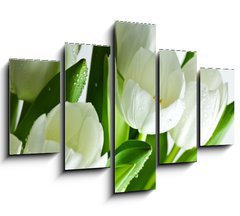 Obraz ptidln 5D - 150 x 100 cm F_GB21581948 - White Tulips