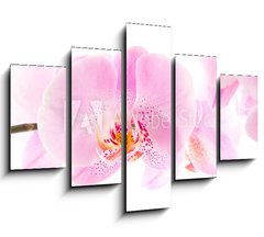 Obraz 5D ptidln - 150 x 100 cm F_GB21889929 - Orchidee
