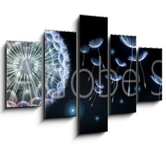 Obraz 5D ptidln - 150 x 100 cm F_GB220799750 - Pusteblumen und Glhwrmchen