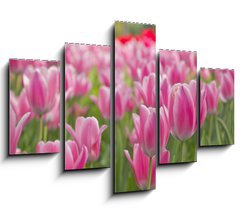 Obraz 5D ptidln - 150 x 100 cm F_GB22107035 -        