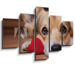 Obraz 5D ptidln - 150 x 100 cm F_GB222488187 - A dog with a red heart. Valentine`s Day.
