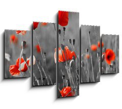 Obraz   red poppies on field, 150 x 100 cm
