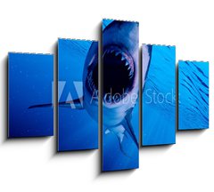 Obraz 5D ptidln - 150 x 100 cm F_GB222972216 - 3d rendered illustration of a great white shark