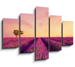 Obraz 5D ptidln - 150 x 100 cm F_GB226739623 - Lavender field rows at sunrise and hot air baloon France Provence
