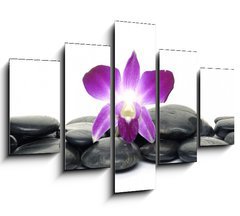 Obraz   Purple orchid and black stones, 150 x 100 cm