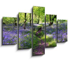 Obraz 5D ptidln - 150 x 100 cm F_GB23130044 - Blue bells forest - Modr zvonov les