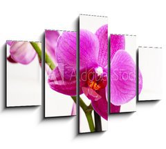 Obraz 5D ptidln - 150 x 100 cm F_GB23400240 - orchid