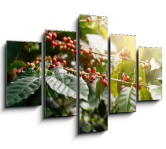 Obraz 5D ptidln - 150 x 100 cm F_GB235909488 - Fresh coffee beans on bunch trees.
