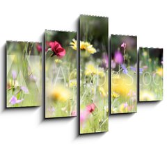 Obraz 5D ptidln - 150 x 100 cm F_GB236066014 - wildblumenwiese natur banner pastell