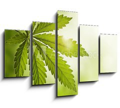 Obraz 5D ptidln - 150 x 100 cm F_GB23639957 - Cannabis leaf - List konop