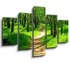 Obraz 5D ptidln - 150 x 100 cm F_GB23843202 - green forest - zelen les