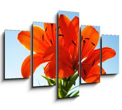 Obraz   two lilies, 150 x 100 cm