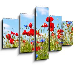 Obraz 5D ptidln - 150 x 100 cm F_GB23892444 - blumenwiese