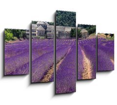 Obraz 5D ptidln - 150 x 100 cm F_GB23986776 - France - Paca - Abbaye de Senanque