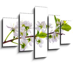 Obraz ptidln 5D - 150 x 100 cm F_GB24127573 - white cherry blossom close-up