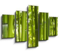 Obraz 5D ptidln - 150 x 100 cm F_GB24255297 - Bambus Bamboo 06