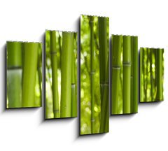 Obraz   Bambus Bamboo 06, 150 x 100 cm