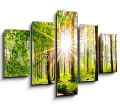 Obraz 5D ptidln - 150 x 100 cm F_GB245602125 - Beautiful forest panorama in spring with bright sun shining through the trees