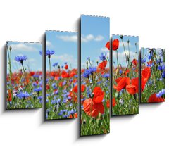 Obraz ptidln 5D - 150 x 100 cm F_GB24598223 - Feldblumen am Wegesrand - Pole kvtiny podl cesty