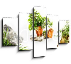 Obraz 5D ptidln - 150 x 100 cm F_GB247543142 - Marjoram, oregano, rosemary garden herbs set