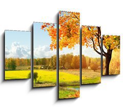 Obraz   Autumn at the morning park, 150 x 100 cm