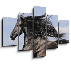 Obraz ptidln 5D - 150 x 100 cm F_GB25113841 - Portrait of moving friesian black horse