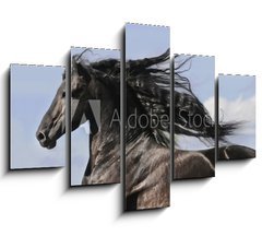 Obraz ptidln 5D - 150 x 100 cm F_GB25113841 - Portrait of moving friesian black horse