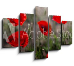 Obraz 5D ptidln - 150 x 100 cm F_GB254517671 - Red poppy on green weeds field. Poppy flowers.Close up poppy head. red poppy. Papaver rhoeas