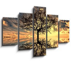 Obraz ptidln 5D - 150 x 100 cm F_GB25486634 - mystic moments - mystick okamiky