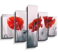 Obraz 5D ptidln - 150 x 100 cm F_GB258336158 - Red poppy flowers isolated on gray background.