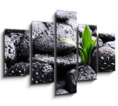 Obraz ptidln 5D - 150 x 100 cm F_GB25878336 - Spa concept