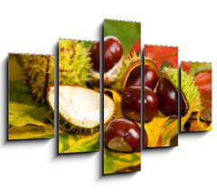 Obraz ptidln 5D - 150 x 100 cm F_GB25981199 - Composition of autumn chestnuts and leaves - Sloen podzimnch katan a list