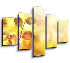 Obraz 5D ptidln - 150 x 100 cm F_GB264386223 - Beautiful colorful autumn natural background panorama. Orange autumn foliage on blurred gold background glows in sunlight outdoors in nature. Template with copy space.