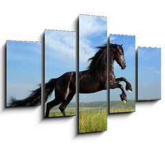 Obraz 5D ptidln - 150 x 100 cm F_GB26473191 - beautiful black horse playing on the field